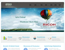 Tablet Screenshot of apeksfotokopi.com